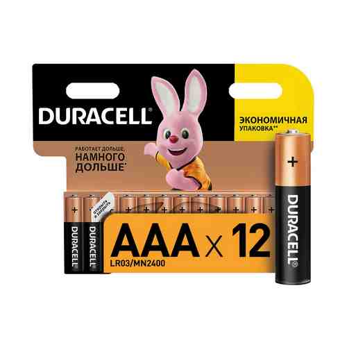 Батарейки Duracell Basic AАA 12 шт