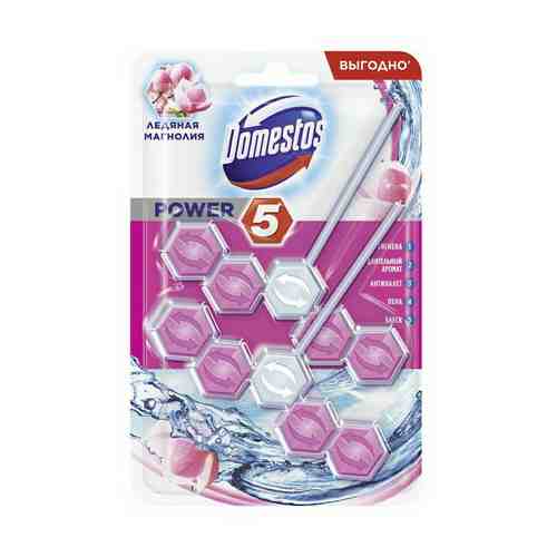 Блок Domestos Power 5 Дуо Ледяная магнолия для унитаза 55 г х 2 шт