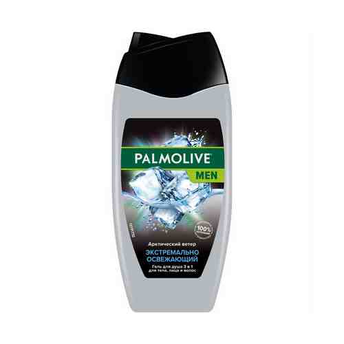 Гель для душа Palmolive Men Арктический ветер 3 в 1 мужской 250 мл