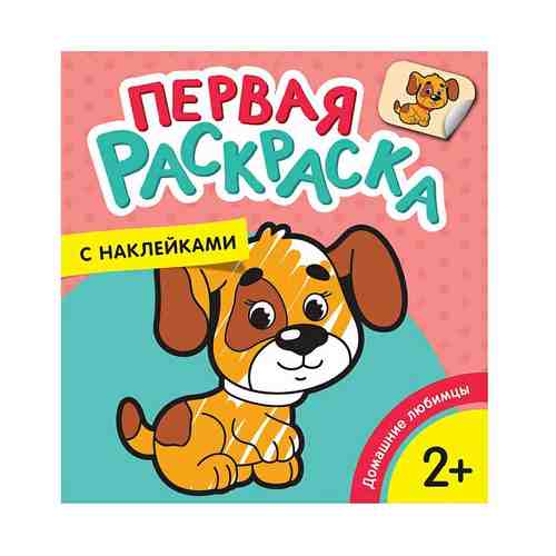 Раскраска Первая раскраска с наклейками Домашние любимцы Росмэн 24 х 22,5 см