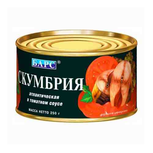 Скумбрия Барс атлантическая в томатном соусе 250 г