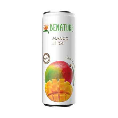 Сок Benature манговый прямого отжима 250 мл