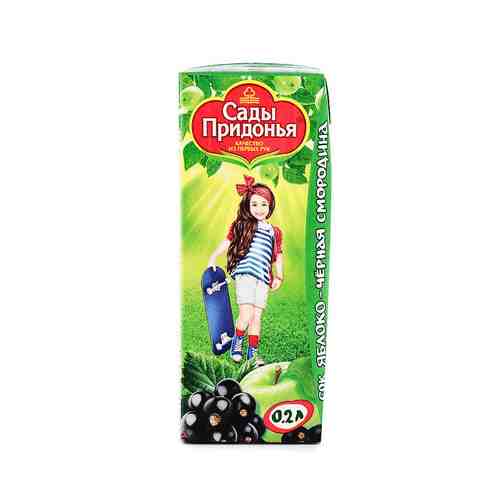 Сок для детей Сады Придонья яблоко-черная смородина 200 мл
