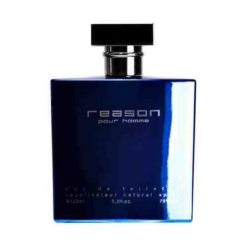 Туалетная вода Ponti Parfum Reason мужская 100 мл