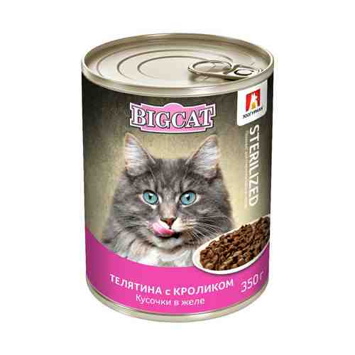 Влажный корм Big Cat Sterilized для кошек телятина-кролик 350 г